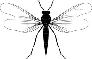 A simple, elegant silhouette of a dragonfly with outstretched wings vector