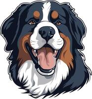 A friendly bernese mountain dog smiles with its tongue out vector