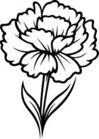 Simple line art illustration of a carnation flower vector
