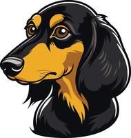A cute and cartoonish illustration of a dachshund dog, perfect for pet related designs and branding vector