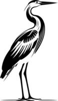 A striking black and white illustration of a graceful heron standing tall, perfect for adding a touch of nature to your designs vector