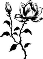 Elegant black and white silhouette of a magnolia flower vector