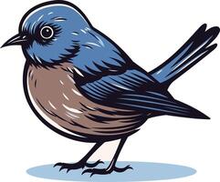 A charming and detailed illustration of a bluebird with a brown underbelly, perched on a simple blue platform vector