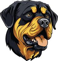 A powerful and bold illustration of a rottweiler's head, capturing its muscular features and intense gaze vector