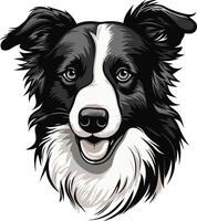 A friendly and happy border collie with a big smile, perfect for dog lover designs, pet websites, and social media posts vector