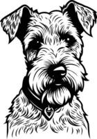 Black and white illustration of a cute terrier dog, with a collar, looking directly at the viewer vector