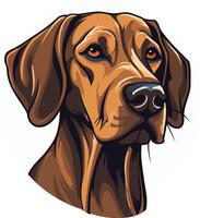 A close up portrait of a majestic rhodesian ridgeback, showcasing its distinctive ridge and intelligent gaze vector