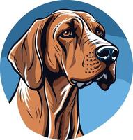 Close up portrait of a brown hunting dog with a determined expression vector