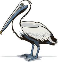 Cute cartoon illustration of a pelican with a big beak vector