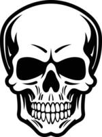 A detailed black and white illustration of a human skull, perfect for adding a touch of darkness and intrigue to your designs vector