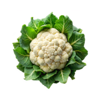 fresh cauliflower isolated png