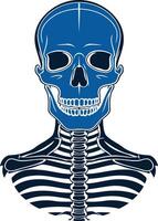 A stylized blue skull with a partial skeletal frame vector