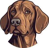 A close up portrait of a brown and white dog with a friendly, attentive expression vector