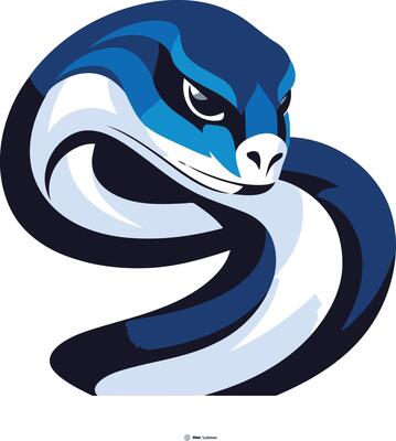 IDEASWAM snake logo 青 IDEASWAM snake logo hoodie blue 青 L