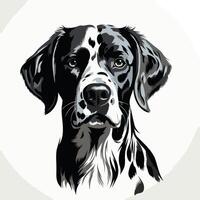 A striking black and white portrait of a german shorthaired pointer, featuring bold lines and a captivating gaze vector