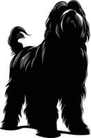 A striking black silhouette of a fluffy dog, perfect for pet related designs, social media posts, or graphic projects vector