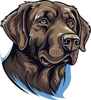 A detailed illustration of a chocolate labrador retriever with a gentle expression, ideal for pet related products, logos, and branding vector