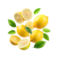 Fresh lemon fruit whole and slices png