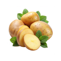 potato rhizome and sliced with leaves png