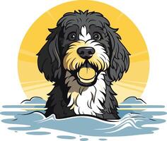 A cheerful cartoon illustration of a black and white doodle dog with a happy expression, swimming in the water with a sunset in the background vector