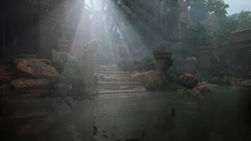 Jungle Pool Surrounded by Trees and Rocks video