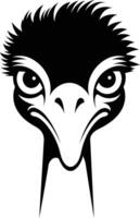 A bold and striking black and white illustration of an ostrich's head vector