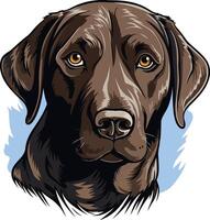 A close up portrait of a chocolate labrador retriever, showcasing its expressive eyes and gentle demeanor vector
