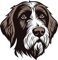 Portrait of a Wirehaired Pointing Griffon vector