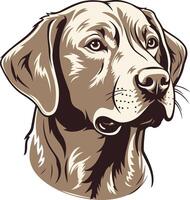 Portrait of a Labrador Retriever vector
