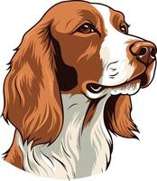 A charming illustration of a brown and white spaniel, featuring a side profile with a soft, expressive gaze vector