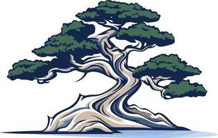 A stylized illustration of a bonsai tree with a thick, twisted trunk and intricate branches vector