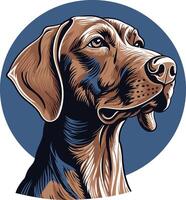 A detailed, hand drawn illustration of a german shorthaired pointer, showcasing its keen focus and alert expression vector