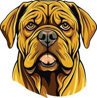 A close up illustration of a dogue de bordeaux, a powerful and loyal breed vector