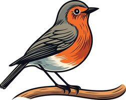 A charming illustration of a red breasted robin perched on a branch vector