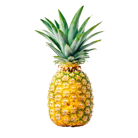 pineapple isolated on transparent background, full depth of field on transparent background png