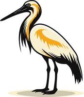 A Detailed Illustration of a Bird with a Long Beak vector