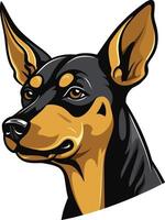 A close up illustration of a miniature pinscher, captured in a playful and energetic pose vector