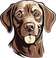 Portrait of a Friendly Chocolate Labrador Retriever vector