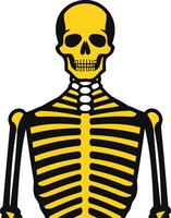 Simple Illustration of a Skeleton vector