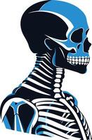 A stylized skeleton profile with a vibrant blue skull, perfect for adding a touch of darkness and intrigue to your designs vector