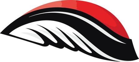 Abstract Red and Black Design vector