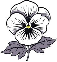 A simple yet elegant illustration of a white pansy flower with grey leaves, perfect for spring and floral designs vector