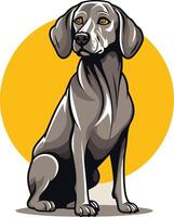 A friendly weimaraner dog sits patiently, looking directly at the viewer vector
