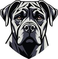 Close up illustration of a majestic bullmastiff's head, showcasing its strong, expressive features vector