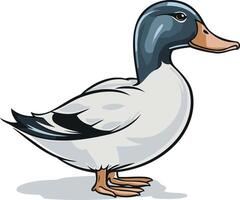 Illustration of a Cartoon Duck vector