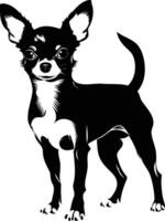 A simple yet elegant silhouette of a chihuahua dog standing in profile vector