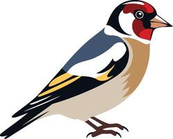 Illustration of a Colorful Goldfinch vector