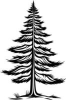 A simple yet elegant black and white illustration of a tall pine tree, perfect for adding a touch of nature to your designs vector