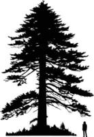A dramatic silhouette of a towering evergreen tree with a single person standing beneath it vector