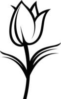 Simple line drawing of a single tulip flower vector